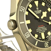 Tudor - Pelagos LHD - Numbered Edition -  Model Ref: 25610TNL - Issued 2020***NOW SOLD***